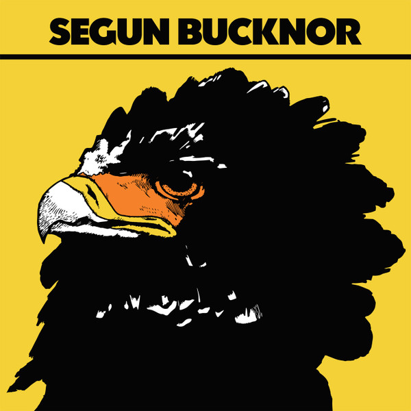 Segun Bucknor - Segun Bucknor Segun Bucknor - Segun Bucknor