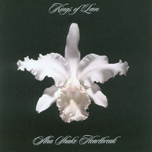 Kings Of Leon - Aha Shake Heartbreak [2LP]