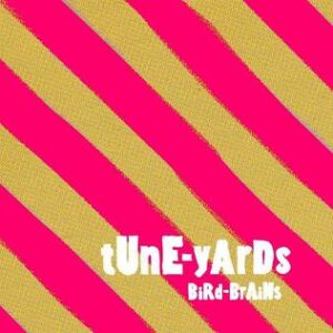 Tune-Yards - Bird Braills