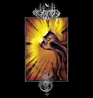 Insanity Cult - Contemplation In Discordance