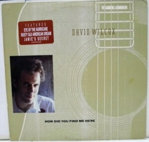David Wilcox - How Did You Find Me Here