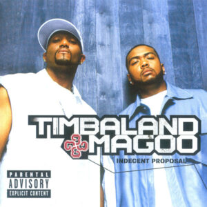 Timbaland & Magoo - Incident Proposal