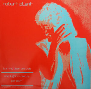 Robert Plant - Burning Down One Side