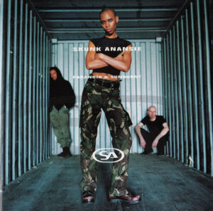 Skunk Anansie - Paranoid & Sunburnt