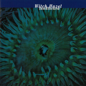 Witch Hazel Sound - Landlocked