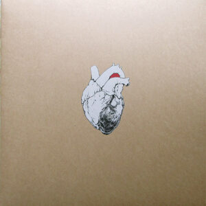 Swans - The Beggar [2LP]