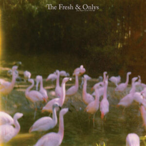 The Fresh & Onlys - August In My Mind