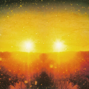 Steve Kilbey And Martin Kennedy – You Are Everything [LP+CD]