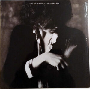 The Waterboys - This Is The Sea