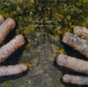Richard Youngs - Autumn Response