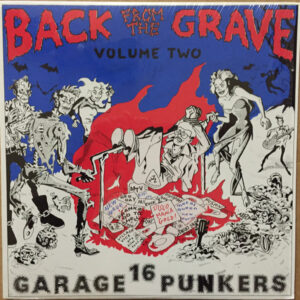 Various - Back From The Grave Volume Two