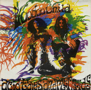 Voodoo Child  - Acid Tales And Mermaids