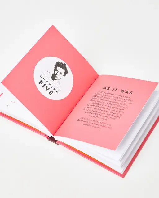 Little Guide to Harry Styles Little Guide to Harry Styles – תמונה 2