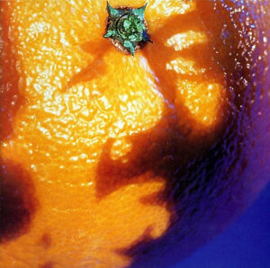 Phish - A Picture of Nectar