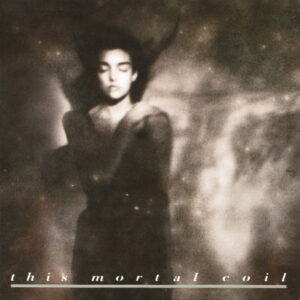This Mortal Coil - It'll End in Tears
