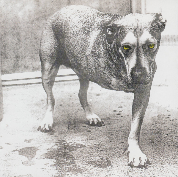 Alice In Chains - Alice In Chains Alice In Chains - Alice In Chains
