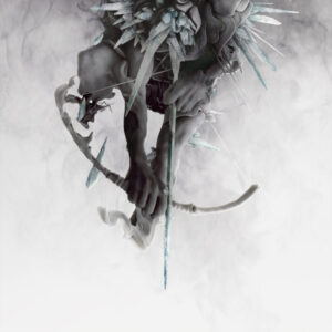 Linkin Park - The Hunting Party [CD]