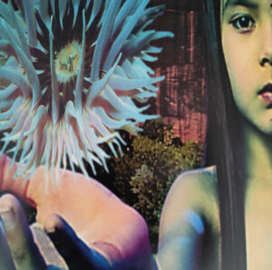 The Future Sound Of London - Lifeforms [2LP | Colored]