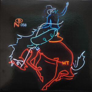 Various - Wayfaring Strangers: Cosmic American Music