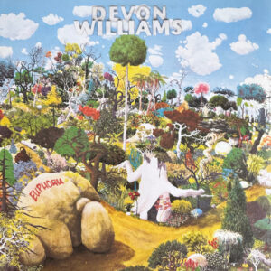 Devon Williams - Euphoria