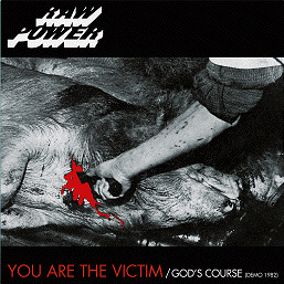 Raw Power - You Are The Victim / God's Course