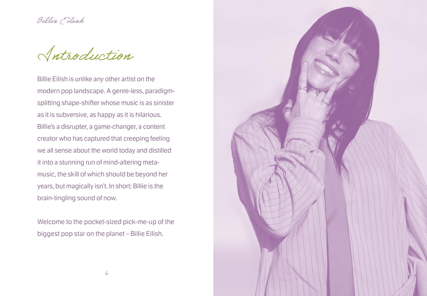 The Pocket Billie Eilish: A Look Inside the Genius of a Once-In-A-Generation Icon The Pocket Billie Eilish: A Look Inside the Genius of a Once-In-A-Generation Icon – תמונה 4