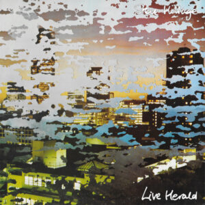 Steve Hillage - Live Herald