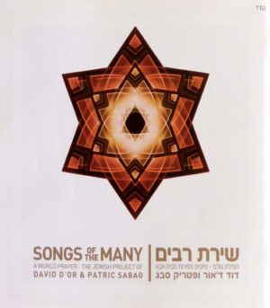 דוד ד'אור ופטריק סבג - שירת רבים