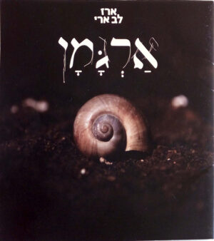 ארז לב ארי - ארגמן