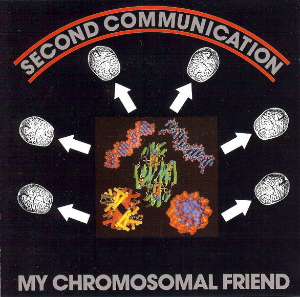 2nd Communication - My Chromosomal Friend 2nd Communication - My Chromosomal Friend