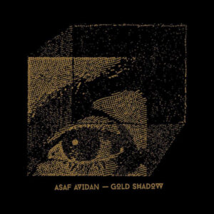 Asaf Avidan – Gold Shadow