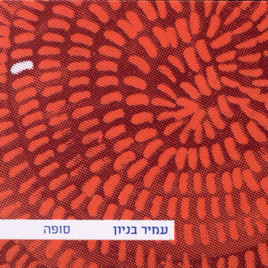 עמיר בניון - סופה