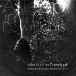 Hammock / Steve Kilbey / timEbandit Powles – Asleep In The Downlights