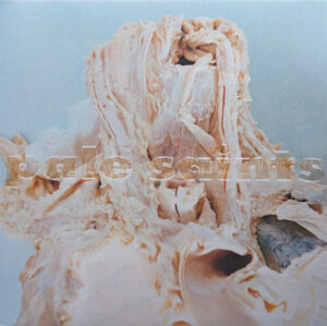 Pale Saints - In Ribbons (30th Anniversary Re:Masters) [2LP | Clear Vinyl]