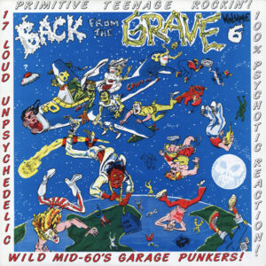 Various - Back From The Grave Volume 6