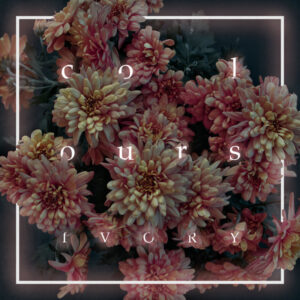 Colours - Ivory