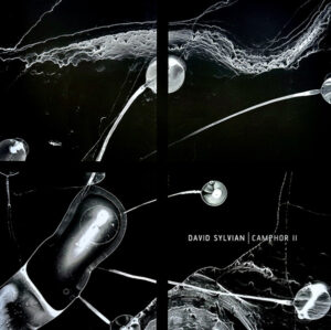 David Sylvian - Camphor II [2LP]