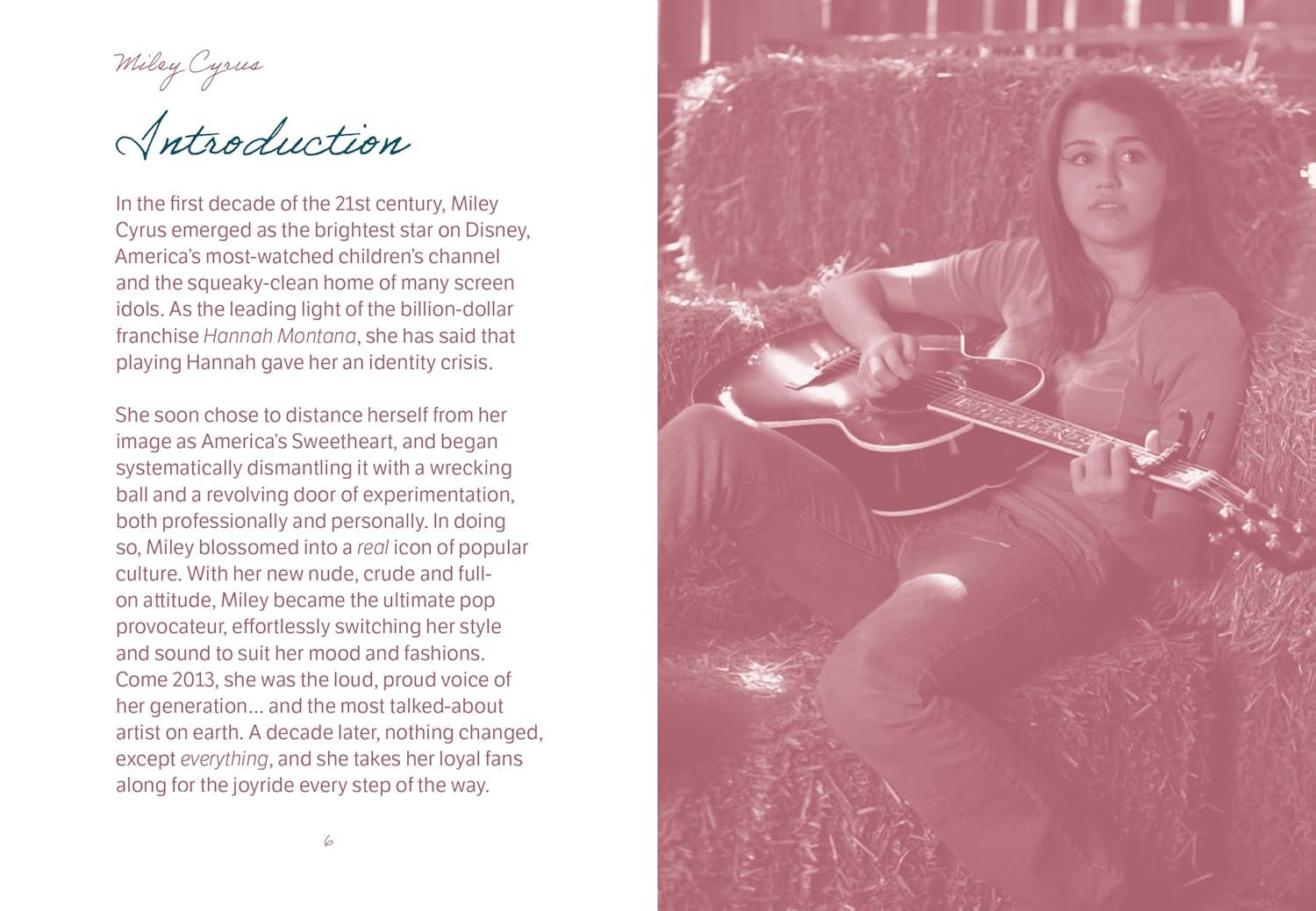 The Pocket Miley Cyrus (Gemini Pockets) The Pocket Miley Cyrus (Gemini Pockets) – תמונה 5