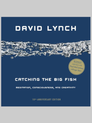 Catching the Big Fish: Meditation, Consciousness, and Creativity