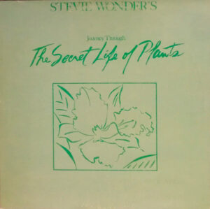 Stevie Wonder - Journey Through The Secret Life Of Plants