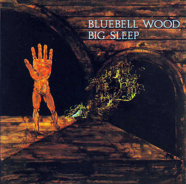Big Sleep - Bluebell Wood Big Sleep - Bluebell Wood