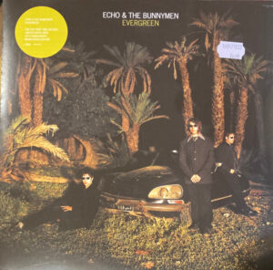 Echo & The Bunnymen - Evergreen