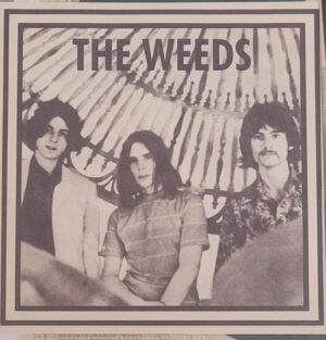 The Weeds - It's Your Time/ Little Girl / Stop / No Good News
