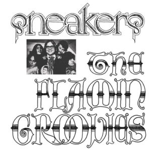 The Flamin' Groovies - Sneakers