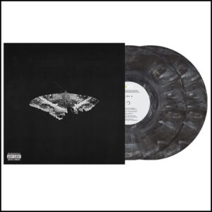 Kendrick Lamar - To Pimp A Butterfly [2LP | Metallic Blends Vinyl]