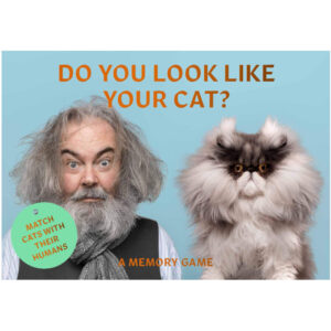 Do You Look Like Your Cat? A Matching Memory Game