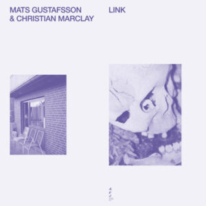 Mats Gustafsson - Link