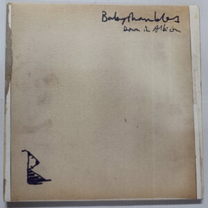 Babyshambles - Down In Albion [2LP]