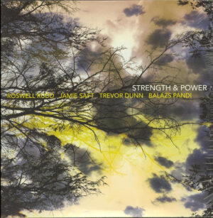 Roswell Rudd, Jamie Saft, Trevor Dunn, Balázs Pándi – Strength & Power [2LP]