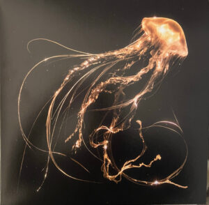 Royal Blood - Back To The Water Below [Gold Marble Vinyl] [Deluxe Edition]